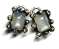 Moonstone & Brown Diamonds Silver Earrings